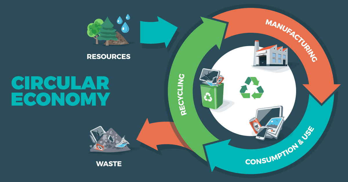 Illustration of circular economy showing product and material flow, product life cycle, waste recycling management concept.