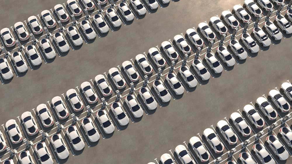 Rows of electric cars charging